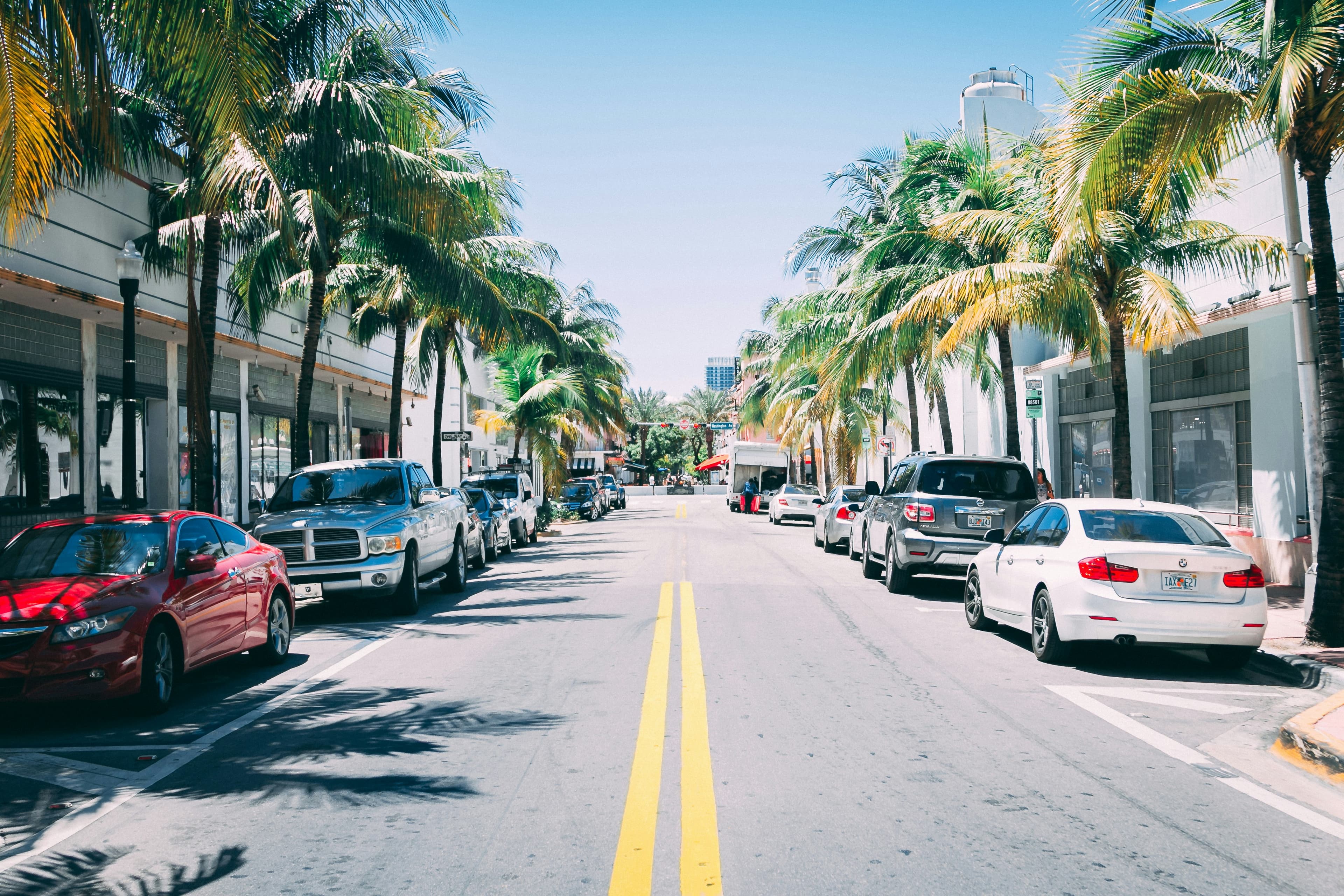 Palm-lined Miami street